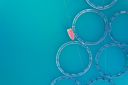 Frontiers in Aquaculture